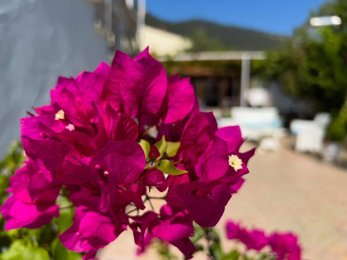 Villa Romantika Chrysi Ammoudia Buitenkant foto